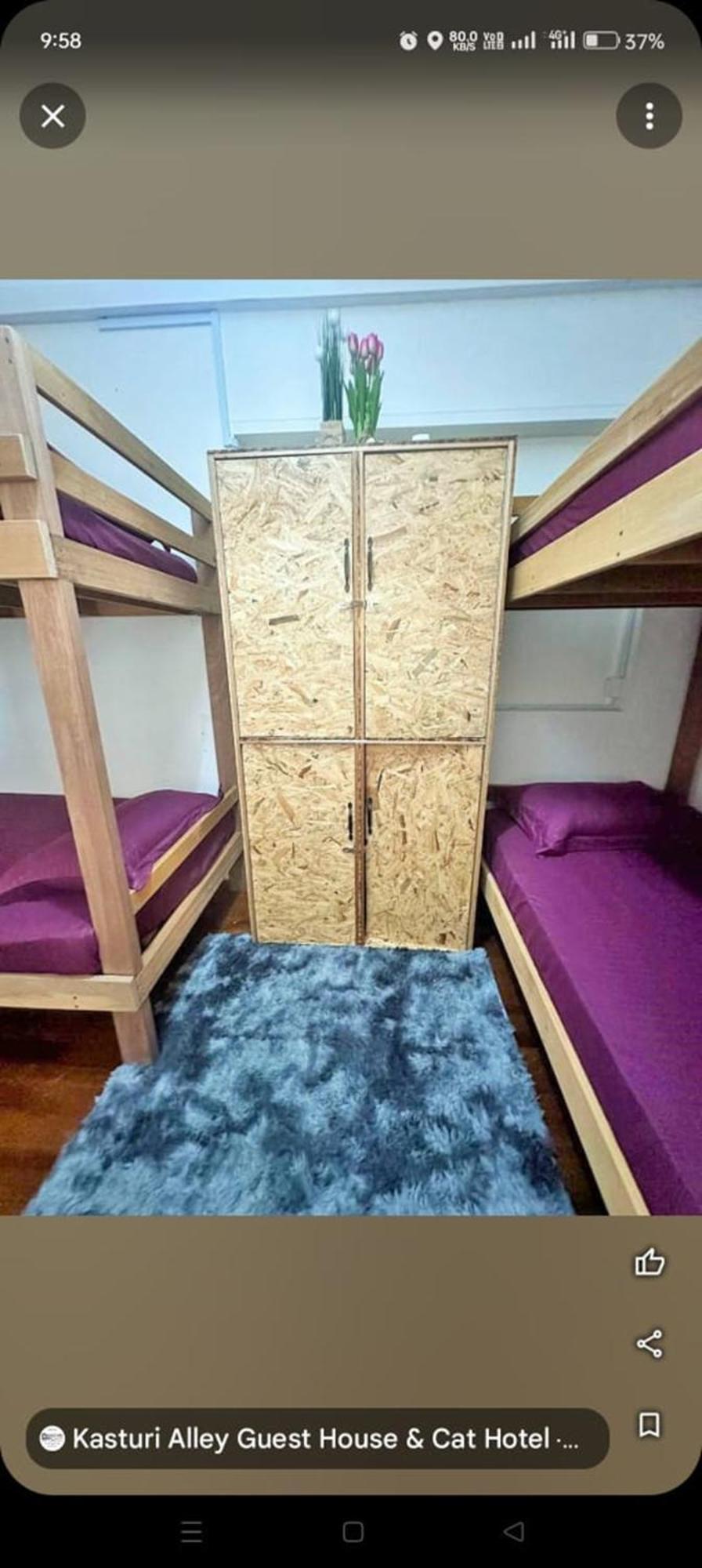 Spot On 90898 Kasturi Alley Guest House & Cat Hotel Malacca Eksteriør bilde